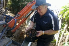 excavation-due-to-roots-in-sewer-pipe